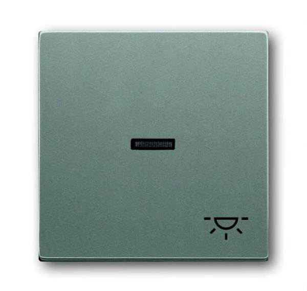 B+J solo®, Wippe mit Symbol "Licht", graumetallic 1789LI-803