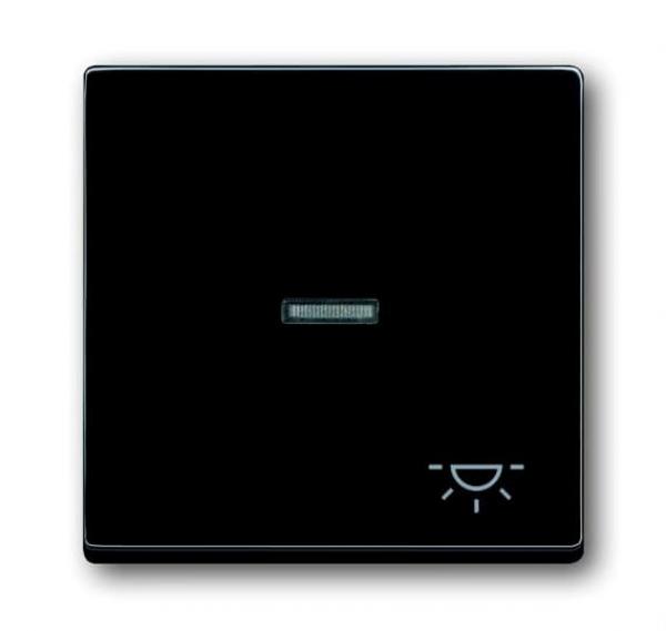 B+J carat®, Wippe mit Symbol "Licht", anthrazit 1789 LI-81