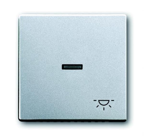 B+J future® linear, Wippe mit Symbol "Licht", alusilber 1789LI-83