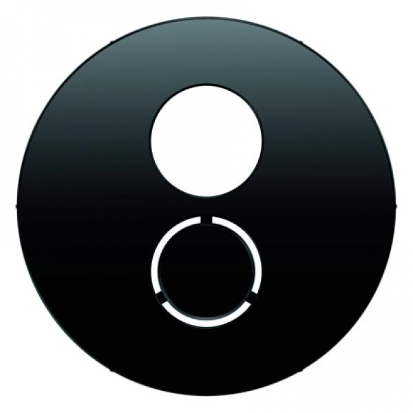 Berker R.1/R.3 Abdeckung Lautsprechersteckdose schwarz, glänzend 11962045