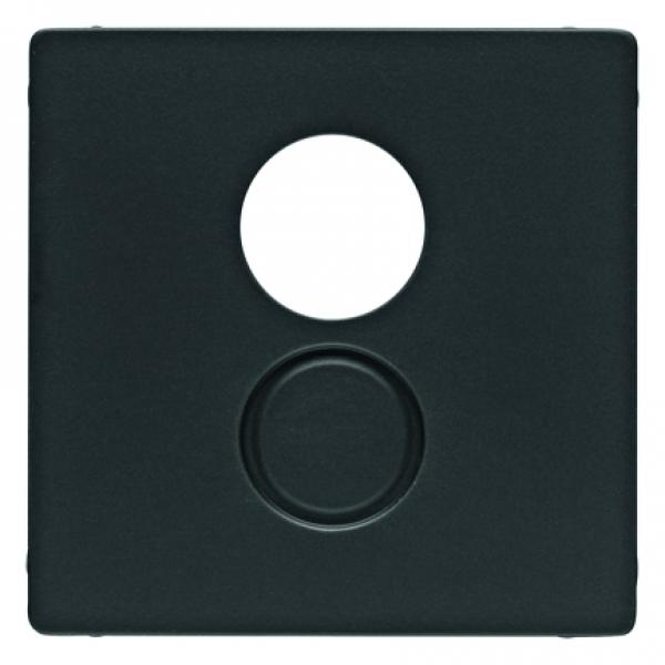 Berker Q.1/Q.3 Abdeckung Lautsprechersteckdose anthrazit, samt 11966086