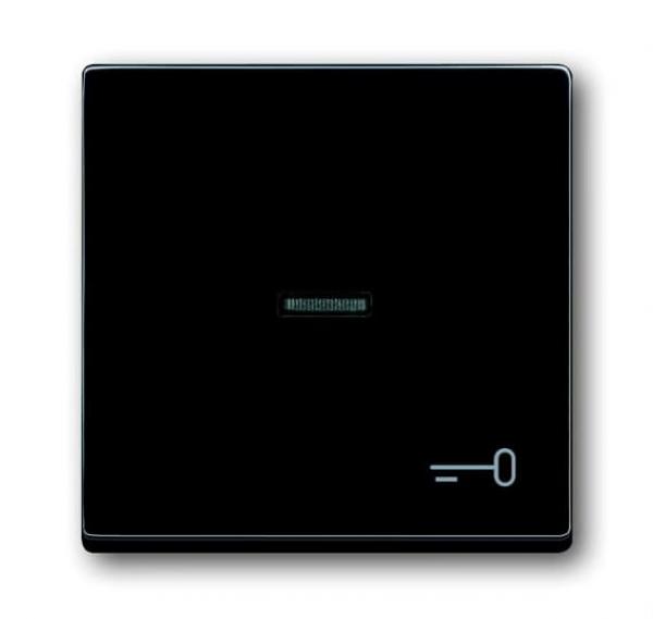 B+J carat®, Wippe mit Symbol "Schlüssel", anthrazit 1789 TR-81