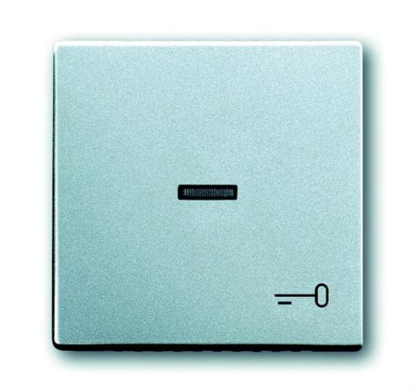 B+J future® linear, Wippe mit Symbol "Schlüssel", alusilber 1789TR-83