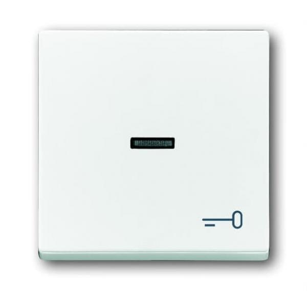 B+J future linear, Wippe mit Symbol "Schlüssel", studioweiß 1789TR-84