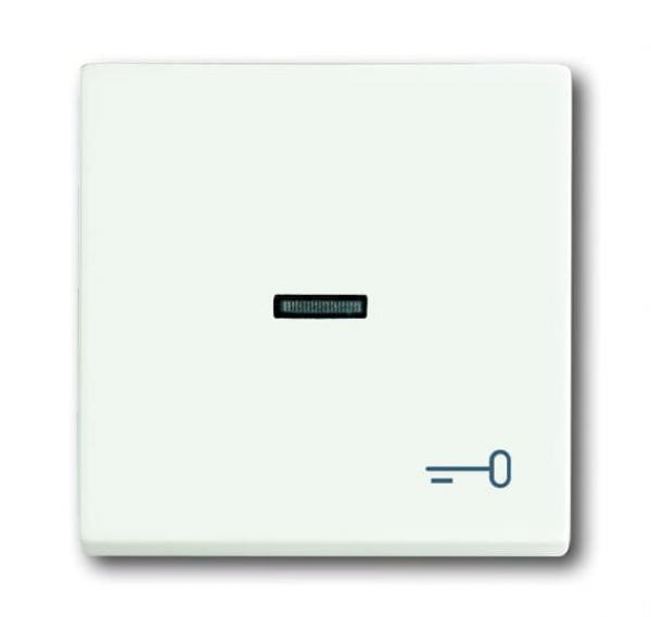 B+J future® linear, Wippen mit Symbol "Schlüssel", studioweiß matt 1789 TR-884