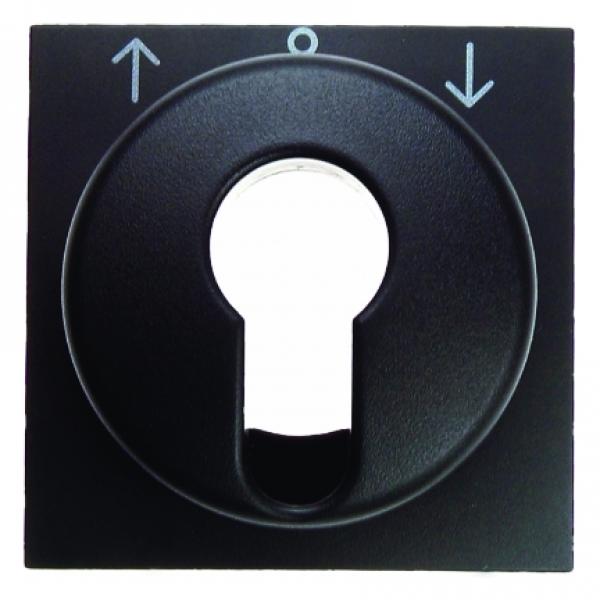 Berker B.3/B.7 Abdeckung SchlŸsselschalter anthrazit, matt 15061606