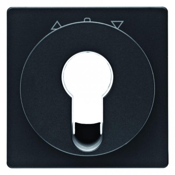 Berker Q.1/Q.3 Abdeckung Schlüsselschalter anthrazit, samt 15066086