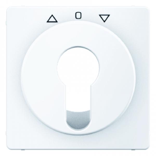 Berker Q.1/Q.3 Abdeckung Schlüsselschalter polarweiß, samt 15066089