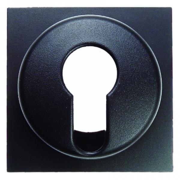 Berker B.3/B.7 Abdeckung SchlŸsselschalter anthrazit, matt 15071606