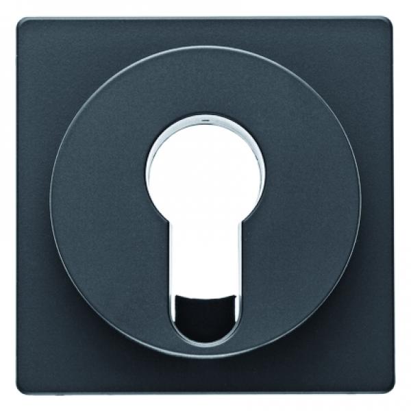 Berker Q.1/Q.3 Abdeckung Schlüsselschalter anthrazit, samt 15076086