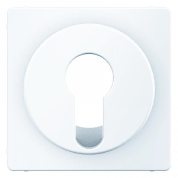 Berker Q.1/Q.3 Abdeckung Schlüsselschalter polarweiß, samt 15076089