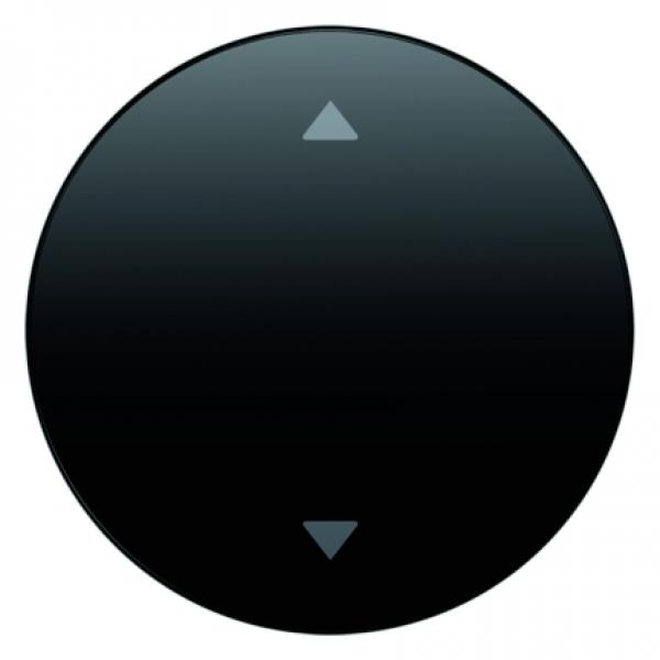 Berker R.1/R.3 Jalousie Wippe 1Fach schwarz, glänzend 16202005