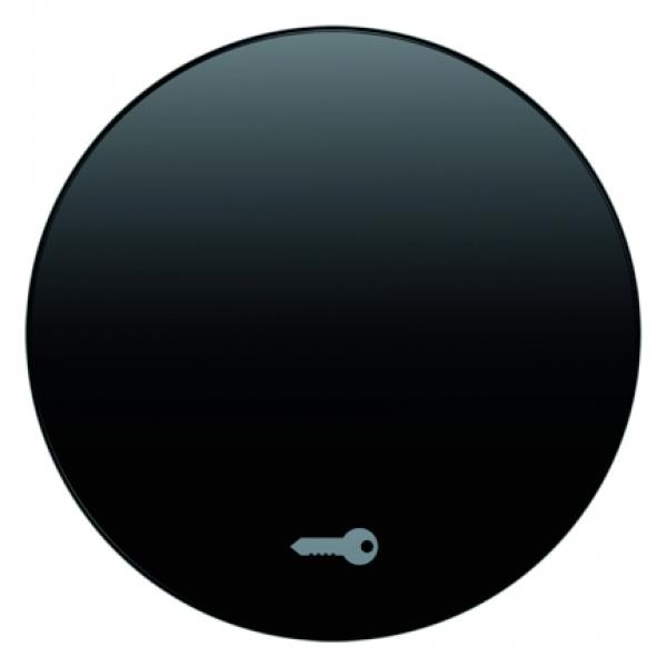 Berker R.1/R.3 Wippe+Symboll Schlüssel schwarz, glänzend 16202015