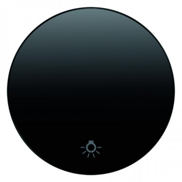 Berker R.1/R.3 Wippe+Symboll Licht schwarz, glänzend 16202035