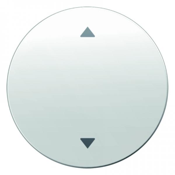 Berker R.1/R.3 Jalousie Wippe 1Fach polarweiß, glänzend 16202049