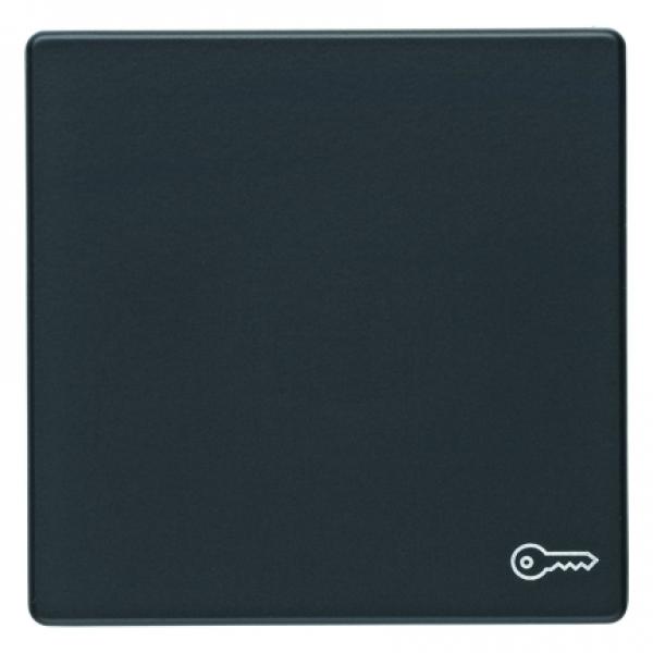 Berker Q.1/Q.3 Wippe+Symbol Schlüssel anthrazit, samt 16206066