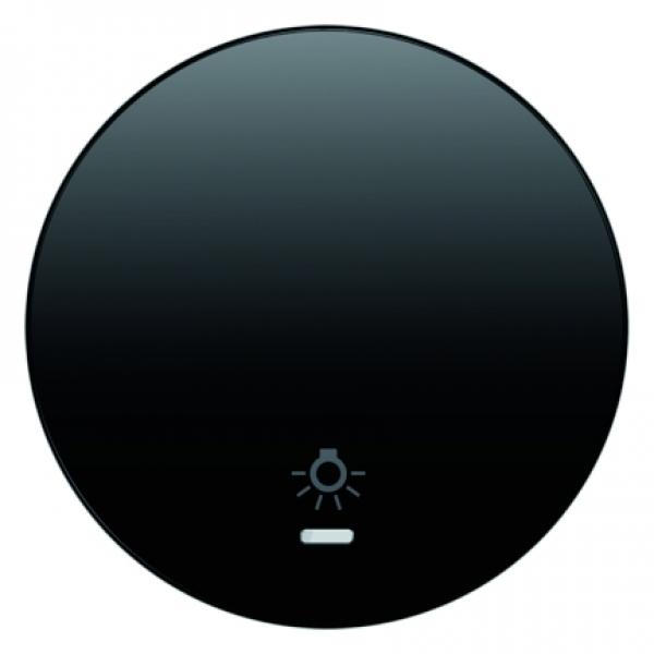 Berker R.1/R.3 Kontroll Wippe+Symboll Licht schwarz, glänzend 16212035