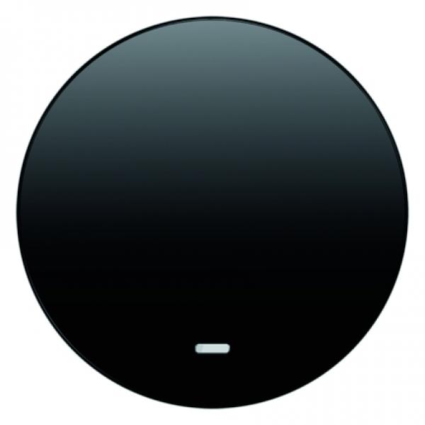 Berker R.1/R.3 Kontroll Wippe schwarz, glänzend 16212045