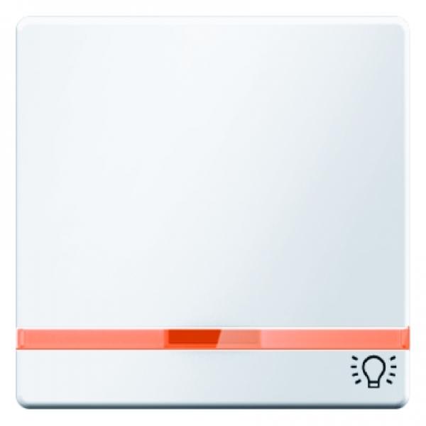 Berker Q.1/Q.3 Kontroll Wippe+Symbol Licht polarweiß, samt 16216079