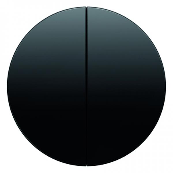 Berker R.1/R.3 Serien Wippe schwarz, glänzend 16232045