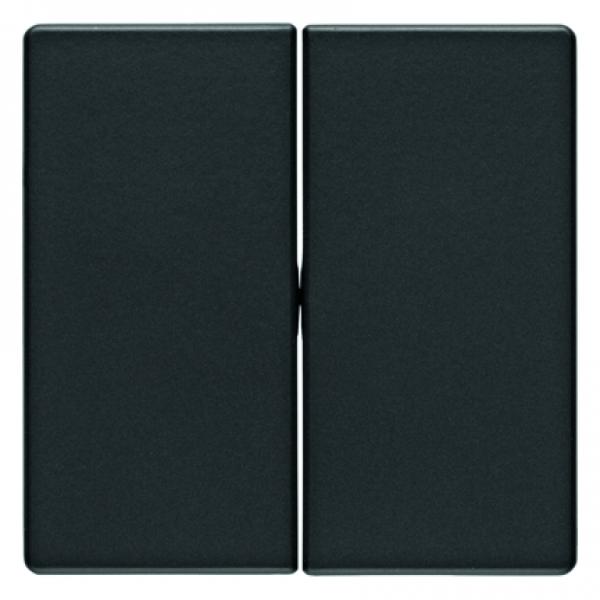 Berker Q.1/Q.3 Serien Wippe anthrazit, samt 16236086