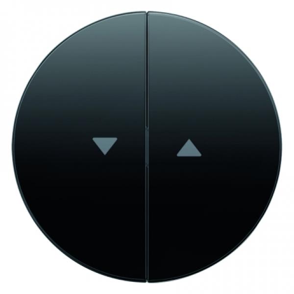 Berker R.1/R.3 Jalousie Wippe schwarz, glänzend 16252045