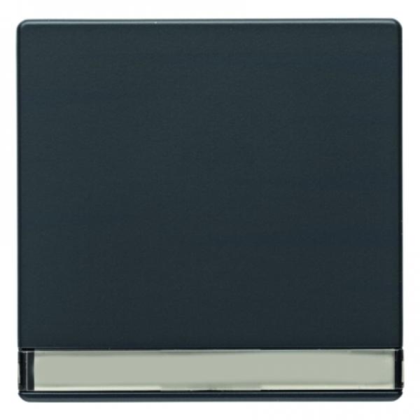 Berker Q.1/Q.3 Wippe mit Beschriftungsfeld anthrazit, samt 16266086