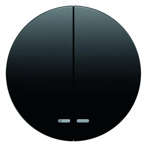 Berker R.1/R.3 Serien Kontroll Wippe schwarz, glänzend 16272045