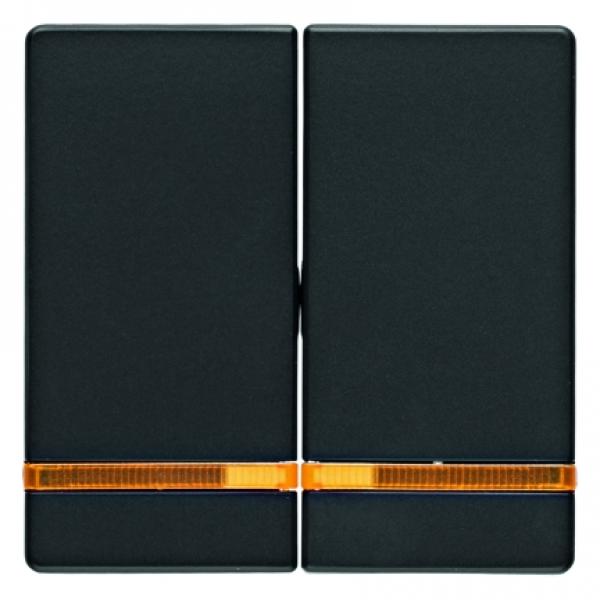 Berker Q.1/Q.3 Kontroll Serien Wippe anthrazit, samt 16276086