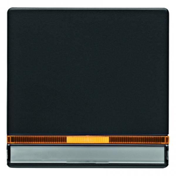 Berker Q.1/Q.3 Kontroll Wippe Beschriftungsfeld anthrazit, samt 16286086