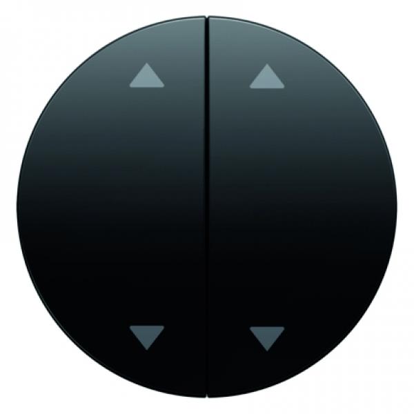 Berker R.1/R.3 Jalousie Wippe 4Fach schwarz, glänzend 16442045