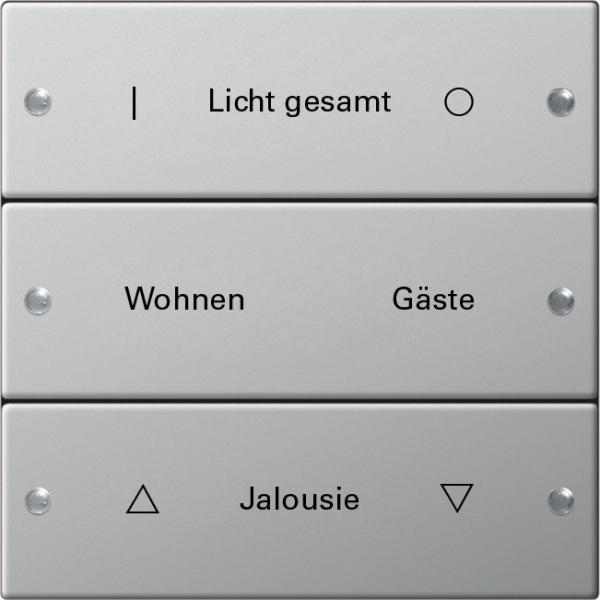 Gira Wippenset 3f beschr. System 55 Edelstahl 2133602