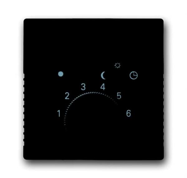 B+J carat®, Abdeckung für Temperaturregler, anthrazit 1795-81