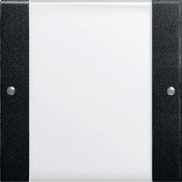 Gira Wippenset 1f BSF System 55 Klar/Schwarz m 2131005