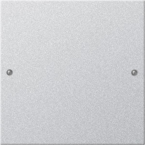 Gira Wippenset 1f System 55 F Alu(lack.) 218126