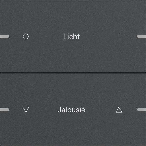 Gira Wippenset 2f indiv. Tastsens.4 TS4 Anthrazit(lack.) 5032928