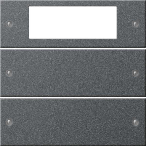 Gira Wippenset 2f Plus System 55 Anthrazit(lack.) 219228