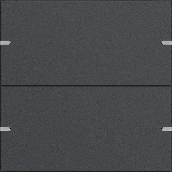 Gira Wippenset 2f Tastsens.4 TS4 Anthrazit(lack.) 5022928