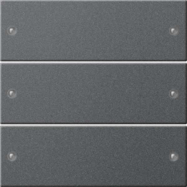 Gira Wippenset 3f System 55 Anthrazit(lack.) 218328