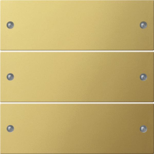 Gira Wippenset 3f System 55 Messing 2133606