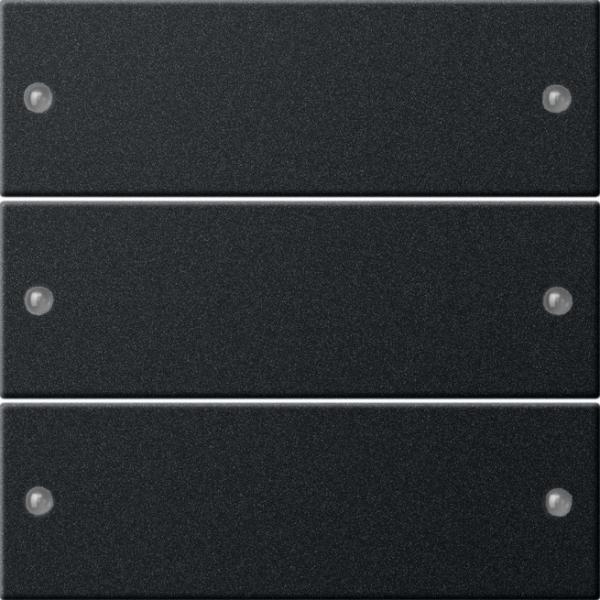 Gira Wippenset 3f System 55 Schwarz m(lack.) 2183005