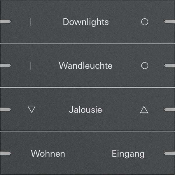 Gira Wippenset 4f indiv. Tastsens.4 TS4 Anthrazit(lack.) 5034928