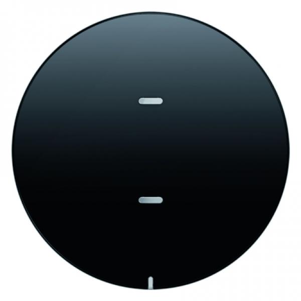 Berker Tast-Abdeckung 1fach für Tastsensor-Modul Berker R.1/R.3 schwarz, glänzend 75161865