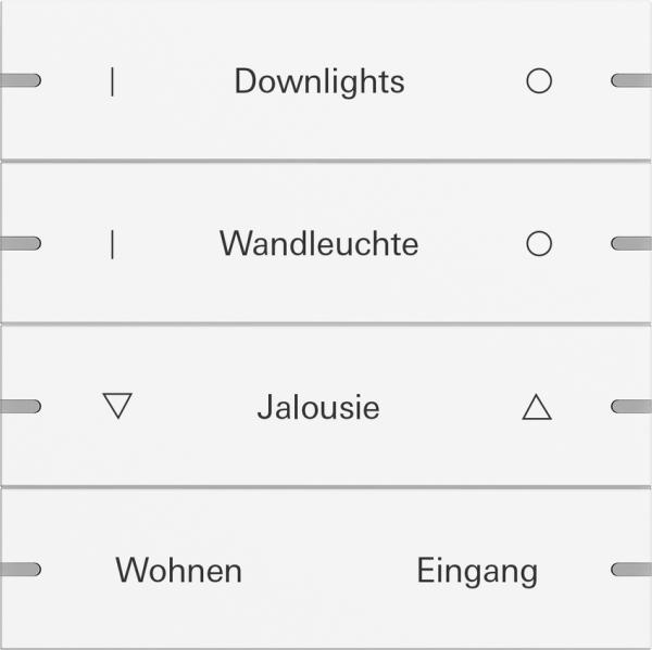 Gira Wippenset 4f indiv. Tastsens.4 TS4 Reinwei§ m(lack.) 5034927