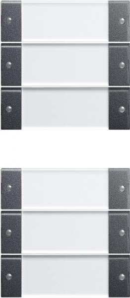 Gira Wippenset 6f (3+3) BSF System 55 Klar/Anthrazit 213628