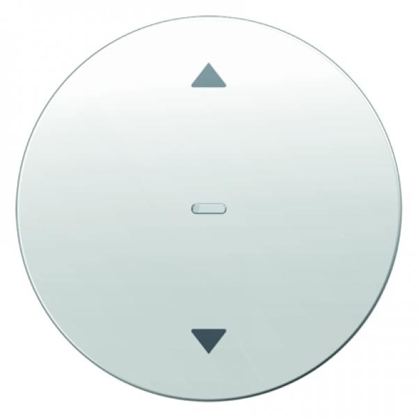 Berker Jalousie-Taste Berker R.1/R.3 polarweiß, glänzend 85241139