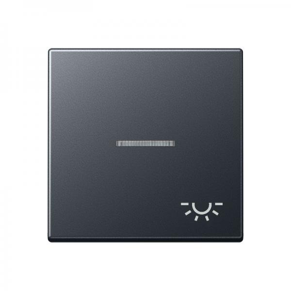 Jung Wippe 1fach mit Lichtleiter, Symbol Licht, Thermoplast lackiert, Serie A, anthrazit matt A590BFKO5LANM