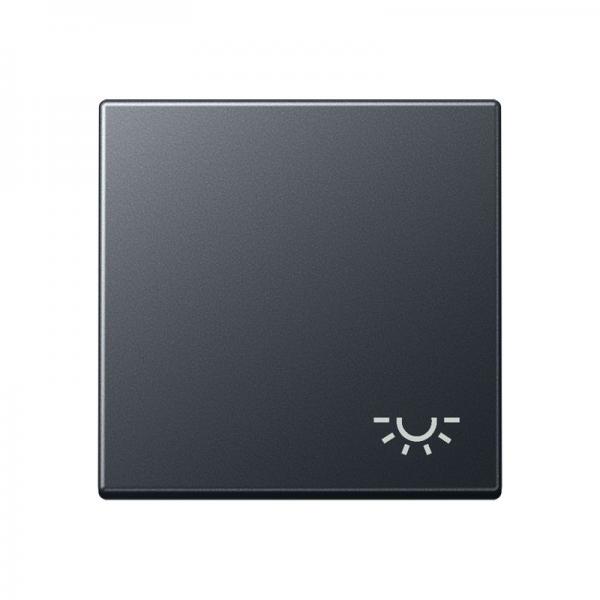 Jung Wippe 1fach, Symbol Licht, Thermoplast lackiert, Serie A, anthrazit matt A590BFLANM