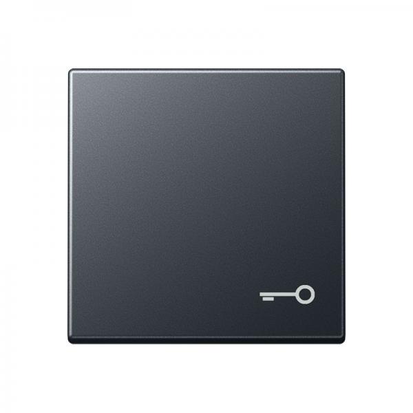 Jung Wippe 1fach, Symbol Tür, Thermoplast lackiert, Serie A, anthrazit matt A590BFTANM