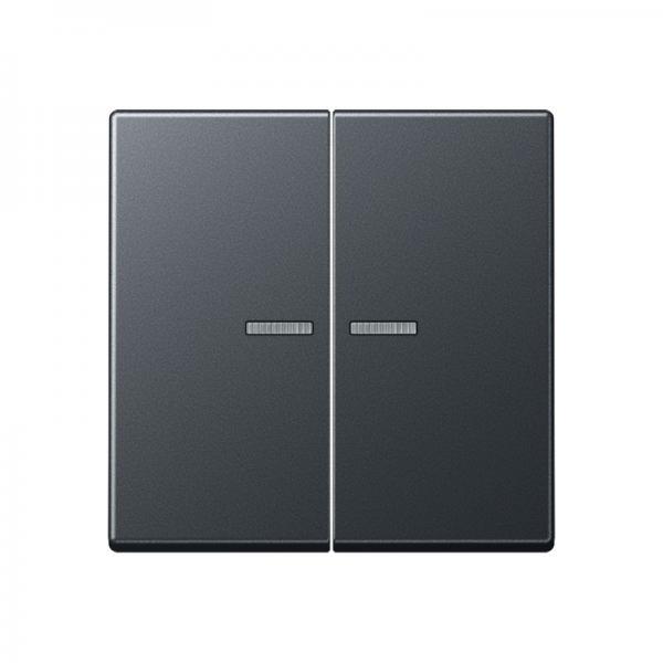 Jung Wippe 2fach mit Lichtleiter, Thermoplast lackiert, Serie A, anthrazit matt A595BFKO5ANM